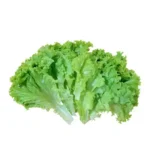 Lettuce Leaves ± 10 gm