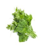 Misti Kumra Shak (Sweet Pumpkin Leaves)