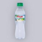 ফ্রেশ মোজিটো ২৫০ মিলি (Fresh Mojito 250 ml)