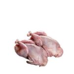 Quail Meat